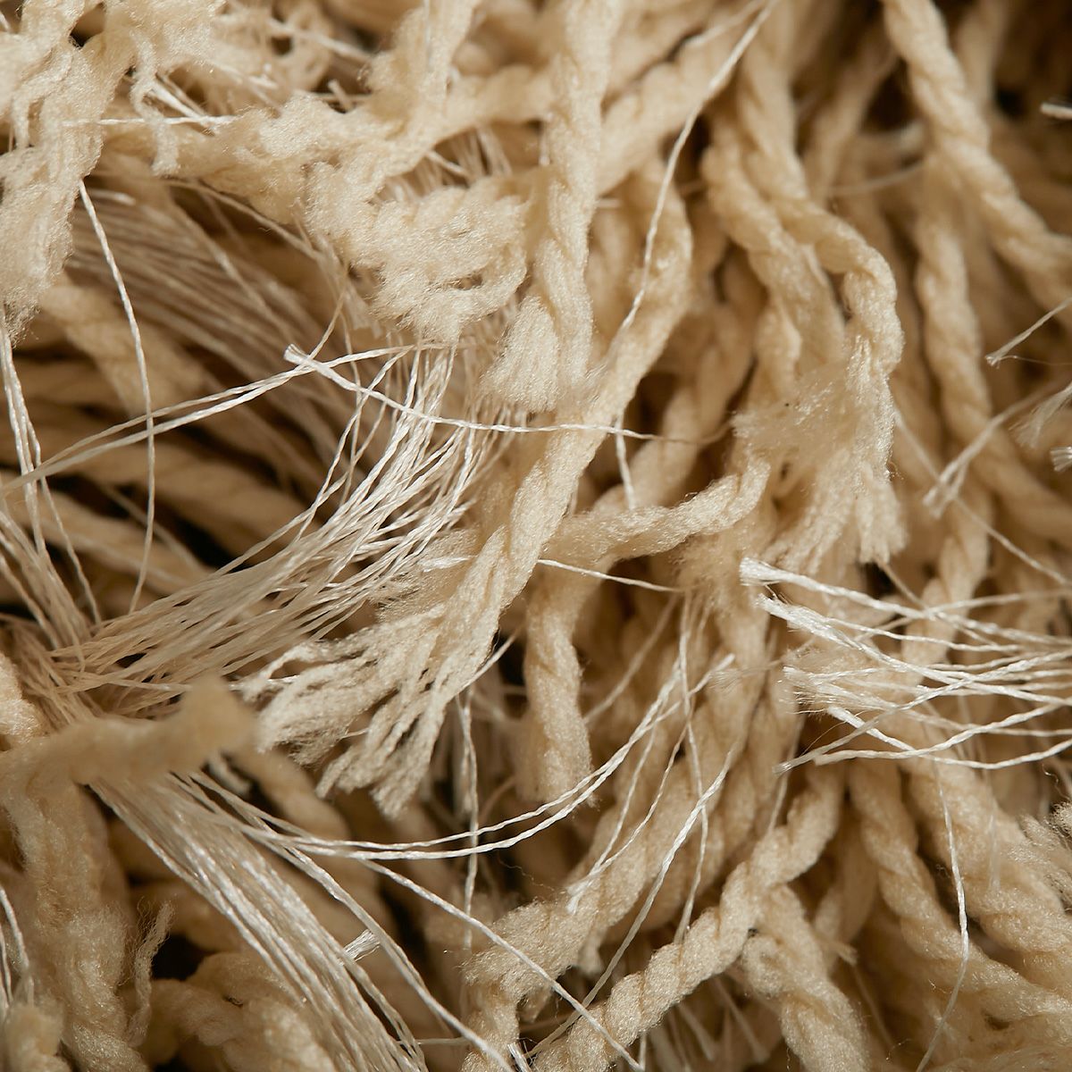 フィタ　円形05