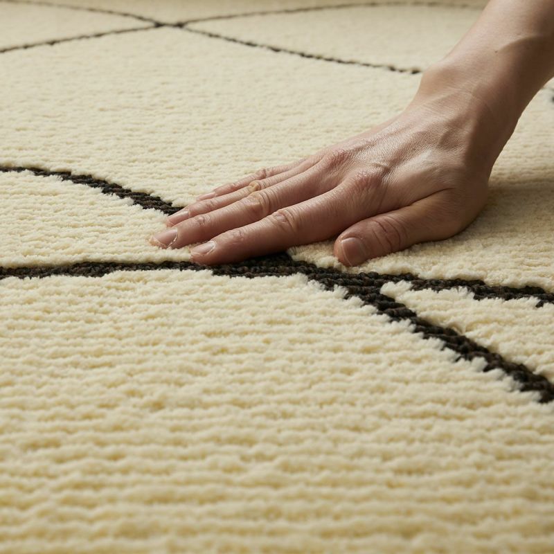 ポッシュ2 アクセントライン05