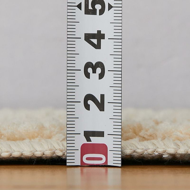 ポッシュ2 チェック16