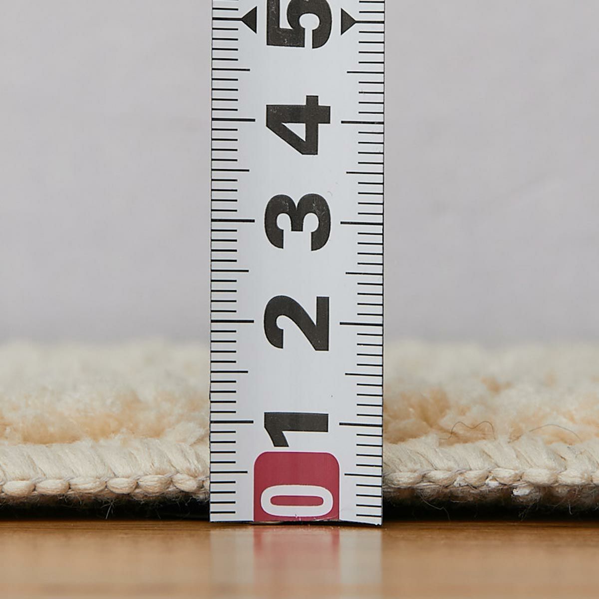 ポッシュ2 チェック16